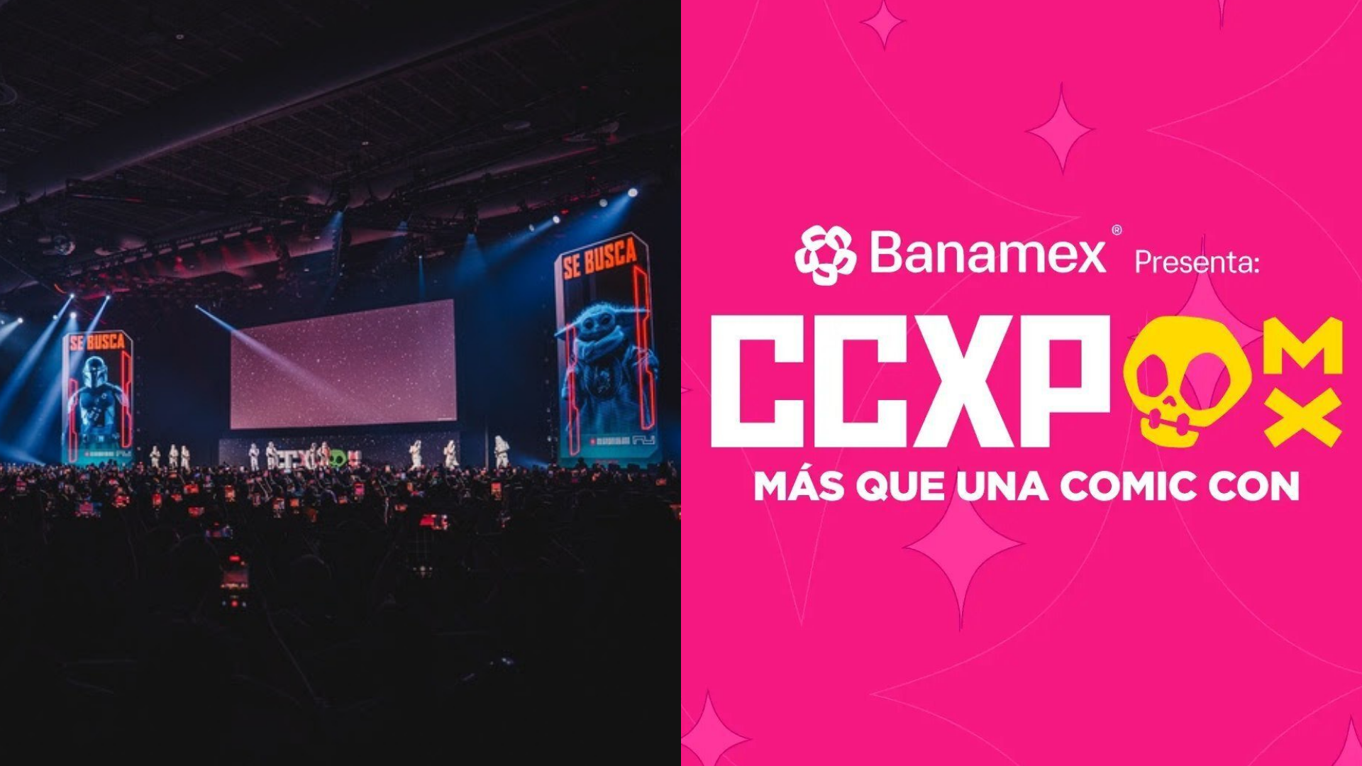 Thumb de matéria - Vinga (3)